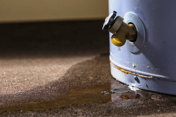Best Professional water damage repair  in Stowell, TX