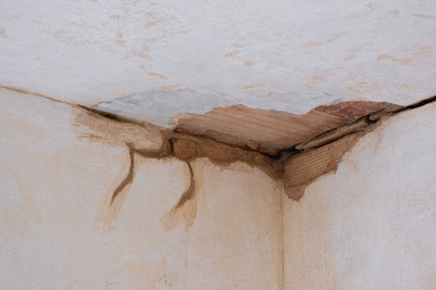 Best Basement water damage restoration  in Stowell, TX