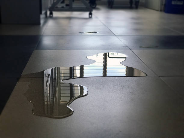 Best 24/7 water damage repair  in Stowell, TX