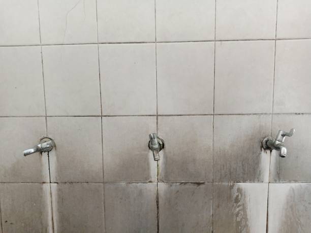 Best Water damage restoration near me  in Stowell, TX