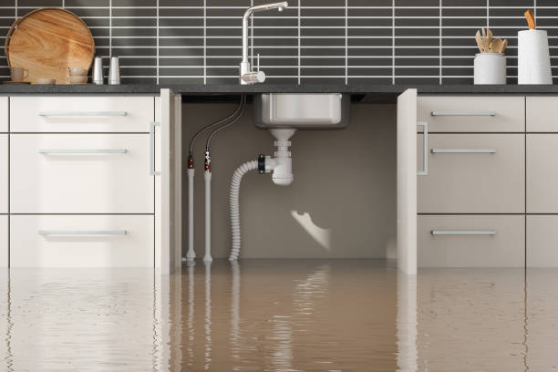 Best Water damage repair service  in Stowell, TX